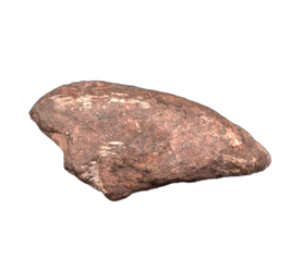Theropod Dinosaur Claw, Mid Jurassic of Africa