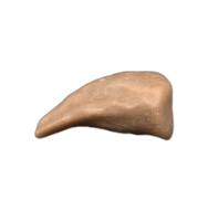 Theropod Dinosaur Hand Claw, Mid Jurassic of Africa