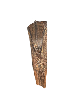 Rooted Hadrosaur Tooth, Judith River Formation