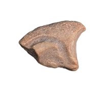 Theropod (Afrovenator?) Claw, Mid Jurassic of Africa