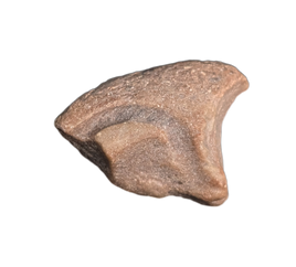Theropod (Afrovenator?) Claw, Mid Jurassic of Africa