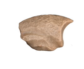 Theropod Hand Claw, Mid Jurassic of Africa