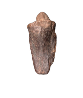 Ornithopod Claw, Mid Jurassic of Africa