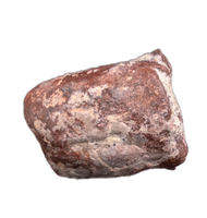 Large Coprolite, Chinle Formation