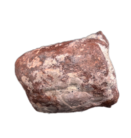 Large Coprolite, Chinle Formation