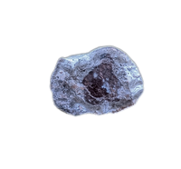 Coprolite, Chinle Formation