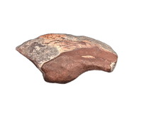 Theropod Claw, Mid Jurassic of Africa