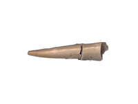 Rauisuchid Tooth, Chinle Formation