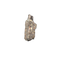 Tyrannosaur Partial Tooth, Two Medicine Formation.