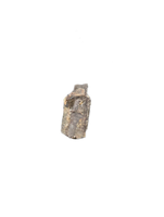 Tyrannosaur Partial Tooth, Two Medicine Formation.