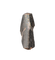 Tyrannosaur Partial Tooth, Two Medicine Formation.