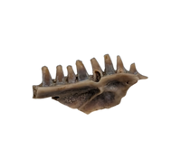 Lizard Jaw Section, Hell Creek Formation