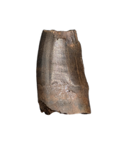 Tyrannosaur Tooth, Judith River Formation