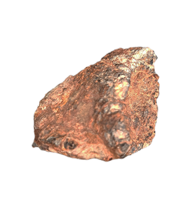 Partial Dinosaur Claw, Early Cretaceous, Laos