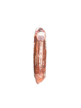 Sauropod Tooth from Morocco (Kem Kem)