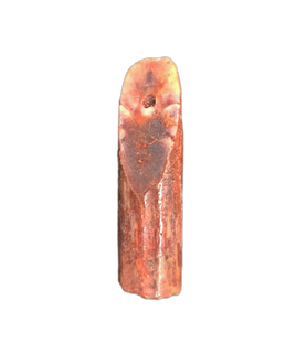 Sauropod Tooth from Morocco (Kem Kem)