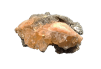 Rucks Pit Clam Filled with Golden-Yellow Calcite Crystals