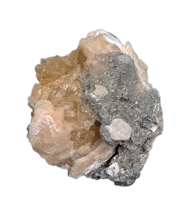 Rucks Pit Clam Filled with Golden-Yellow Calcite Crystals