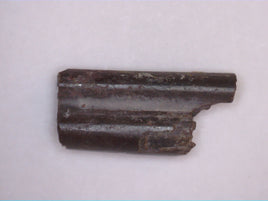 Dimetrodon Sail Spine Section, Permian