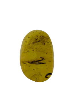 Amber with insect from Burma. Middle Cretaceous, 99 Million Years Old