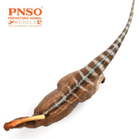Wyatt the Parasaurolophus, PNSO