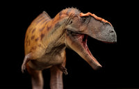 Hugo the Taurovenator, PNSO