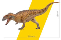 Hugo the Taurovenator, PNSO