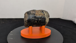 Sauropod (Long Neck) Tail Vertebra, El Mers III Formation