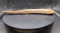 Struthiomimus Fibula