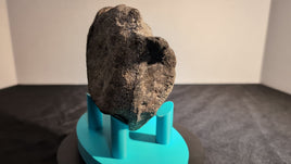 Stegosaurus Vertebrae, Morrison Formation