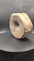 Brachypterigus (Ichthyosaur) Vertebra Jurassic Period, England.