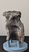 Allosaurus Vertebra, Morrison Formation