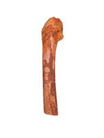 Spinosaurus Metatarsal