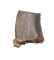 Tyrannosaur Tooth, Judith River Formation