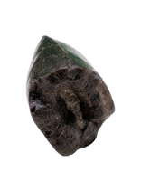Tyrannosaur Tooth, Two Medicine Formation