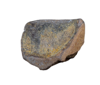 Leptoceratops Tooth from the Lance Formation