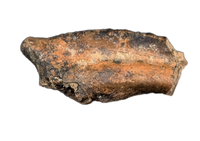 Anzu Foot Claw, Hell Creek Formation