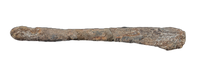Sauropod Fibula, El Mers III Formation