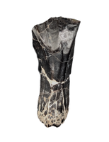 Rooted Iguanodont Tooth, England