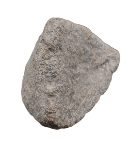 Maiasaura Calcaneus (ankle bone), Two Medicine Formation