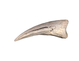 Turtle Claw, Lance Formation