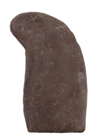 Tullimonstrum (Tullymonster) gregarium