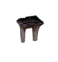 Multituberculate Mammal Tooth, Hell Creek Formation