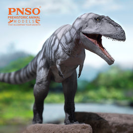 Mungo the Meraxes, PNSO