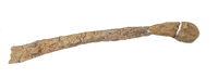 Edmontosaurus Fibula