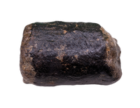 Sauropod (Long Neck) Tail Vertebra, El Mers III Formation