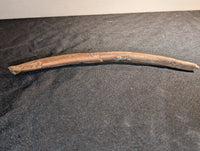 Anzu? (Oviraptorid) Rib, Hell Creek