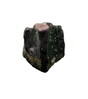 Maiasaura Tooth, Two Medicine Formation