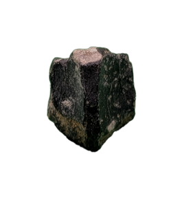 Maiasaura Tooth, Two Medicine Formation