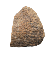 Dinosaur Limb End, Bissekty Formation